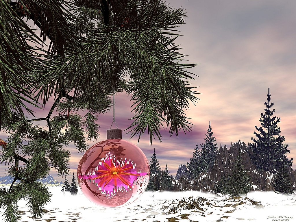 December Foretold